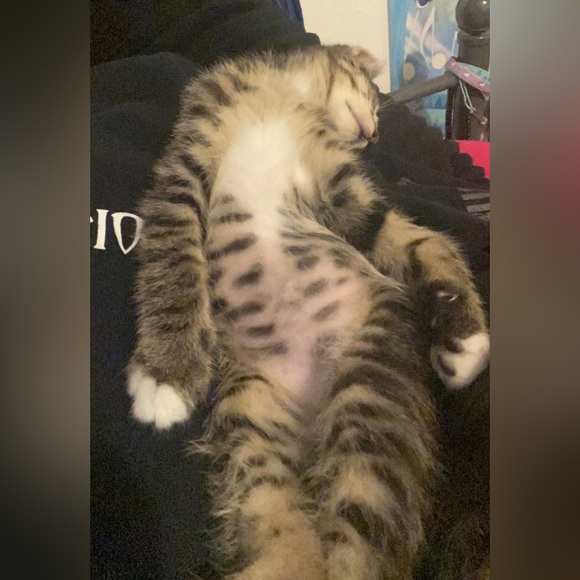 freddy - Picture 16 of 16